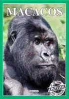 Mundo Fascinante dos Animais - Macacos 