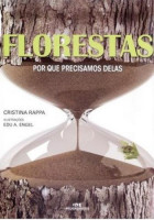 Florestas - por que precisamos delas