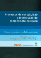 Processos de constituição reprodução do campesinato Brasil 